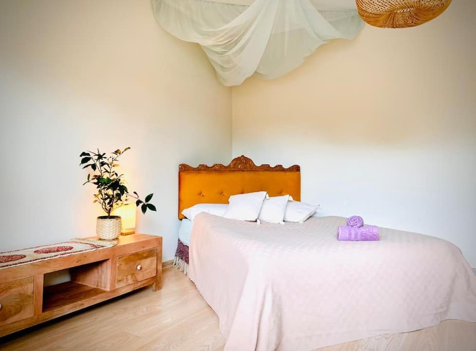 Three Bedroom With Two Terraces For 7People+Baby Kaunas Extérieur photo