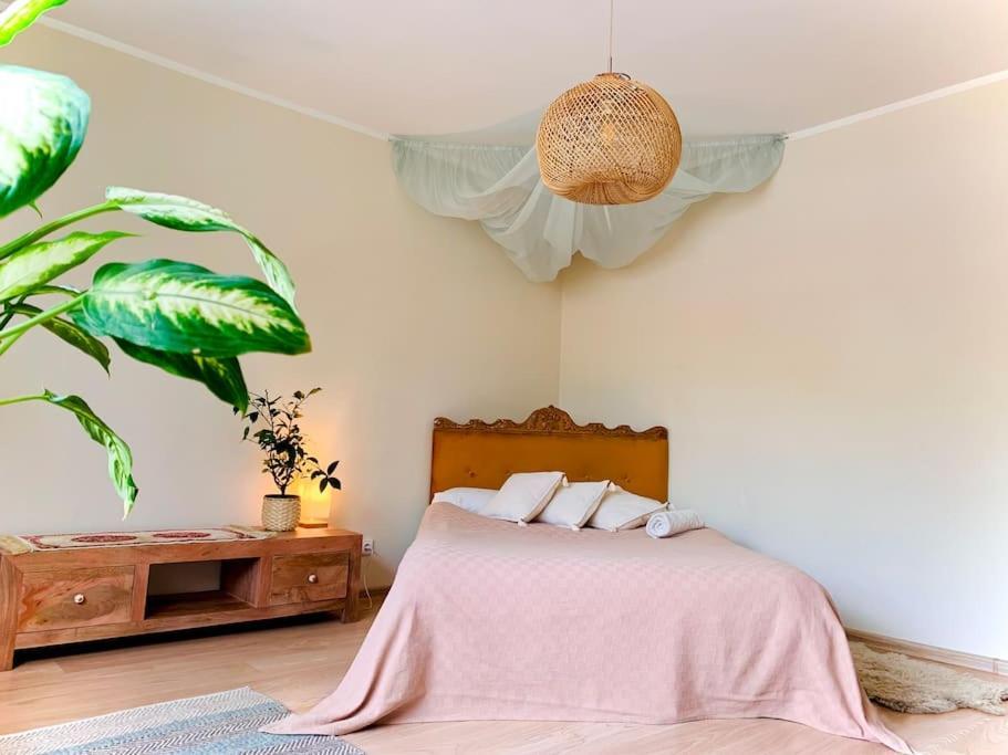 Three Bedroom With Two Terraces For 7People+Baby Kaunas Extérieur photo