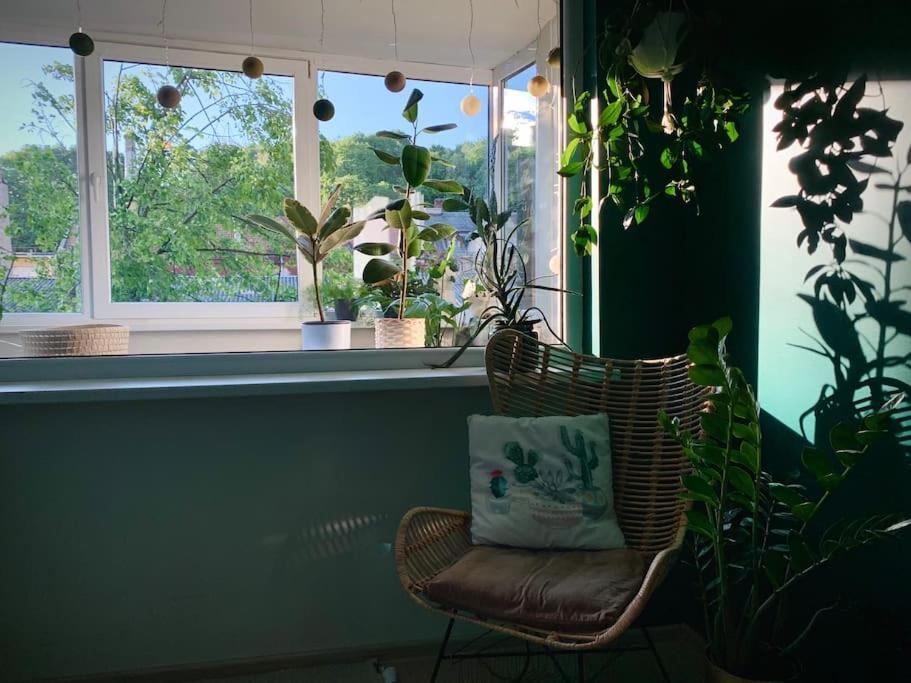 Three Bedroom With Two Terraces For 7People+Baby Kaunas Extérieur photo
