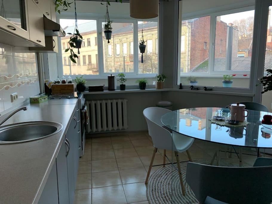 Three Bedroom With Two Terraces For 7People+Baby Kaunas Extérieur photo